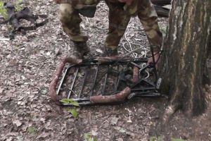 В Пензенской области предотвратили охоту на кабана