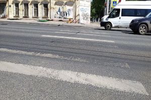 Фотовзгляд: Зебры и «зебры»