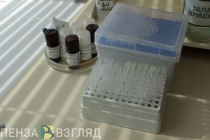 Более миллиона тестов на COVID-19 сделано в Пензенской области