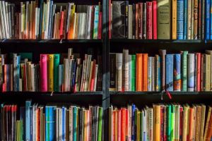 Мельниченко поручил рассмотреть возможность переиздания книг пензенских авторов