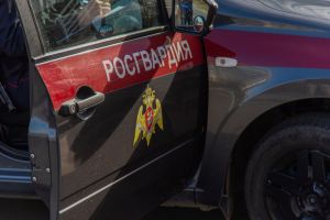 Росгвардейцы задержали пензенца, выкопавшего и присвоившего чужой забор