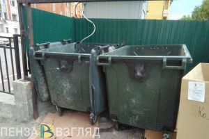 Администрацию Нижнего Ломова оштрафовали за свалку возле контейнерной площадки