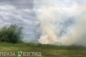 На улице Воронова в Пензе вспыхнули трава и мусор