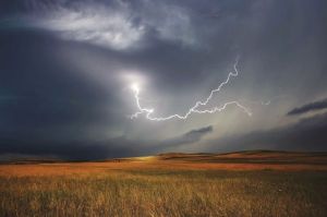Желтый уровень погодной опасности, новый парк и убийство сослуживца - новости Пензы за 7 июня