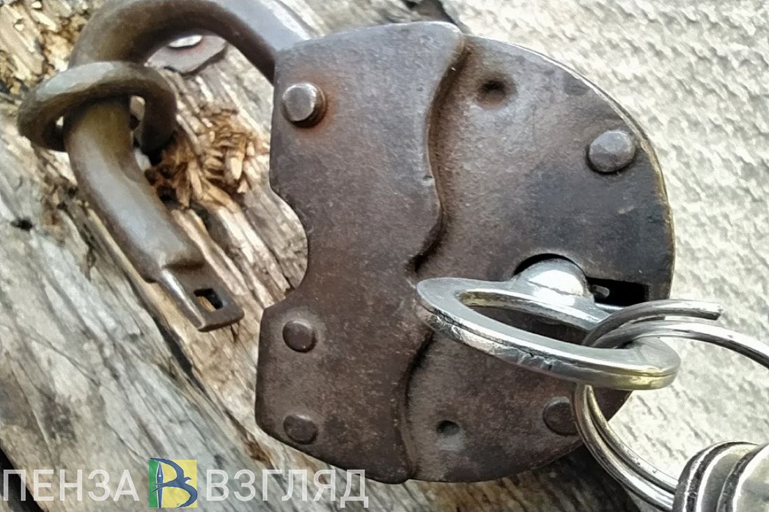В Пензенской области добычей взломщика стали стиральная машина и топор