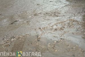 В Пензе несколько дней подряд дожди превращают улицы в «реки»