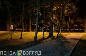 В Пензе мужчина воспользовался моментом и совершил кражу