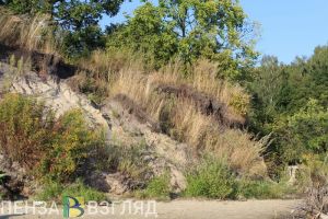 Стали известны подробности поисков кузнечанина, найденного погибшим в лесу