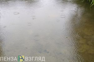 В Пензе из пруда возле 6-й горбольницы вытащили труп
