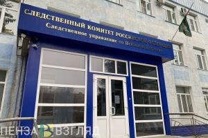 После инцидента в лагере «Строитель» пензенский СК возбудил уголовное дело