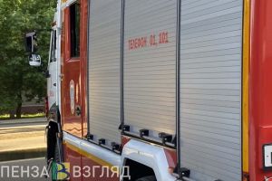 При пожаре в Каменке погибла молодая женщина