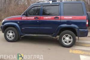 В СК РФ взяли на контроль уголовное дело по инциденту в лагере Пензенской области