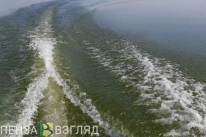 Стало известно, чье тело найдено в пруду Пензы