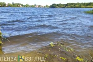 В Пензенской области за выходные утонули четверо молодых мужчин
