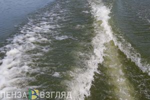 Появилось фото с места гибели мужчины на водоеме в Пензенской области