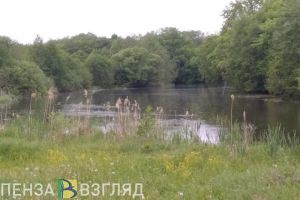 Установлена личность мужчины, чье тело найдено в пруду под Пензой