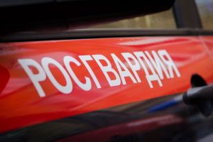 Пензенские росгвардейцы нашли ушедшую из дома 81-летнюю бабушку