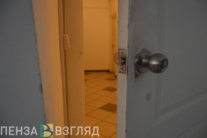 В Пензенской области взломщик унес из дома триммер и 90 килограммов металлолома