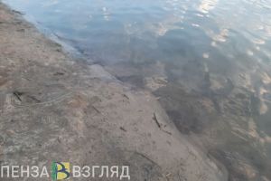 В Пензенском районе из воды извлекли тело мужчины