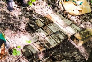 В пензенском лесу обнаружили около 7 000 патронов разного калибра