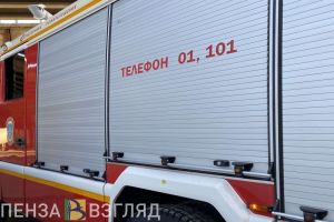 На свалке в Пензенской области огонь охватил 1 гектар мусора