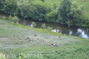 В Пензенской области более двух десятков человек погибли на водоемах