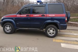 Вынесен приговор за изнасилование женщины в Октябрьском районе Пензы