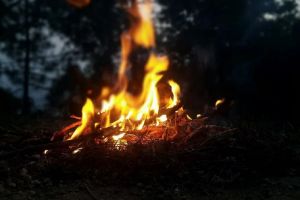 В Кузнецком районе загорелся лес