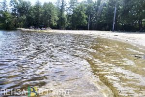 В Белинском районе при свидетелях утонул мужчина