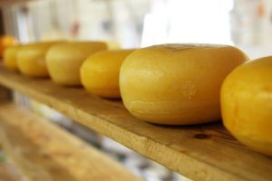 Как выбрать в магазине качественный сыр
