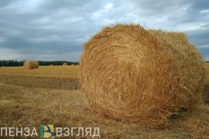В Пензенской области продолжают заготавливать сено, солому, силос и сенаж