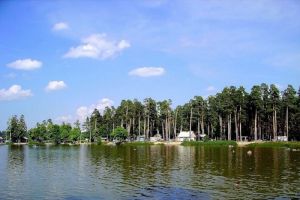 Под Пензой ночью утонул мужчина