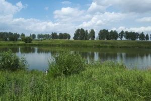 В Пензенской области в пруду утонул мужчина