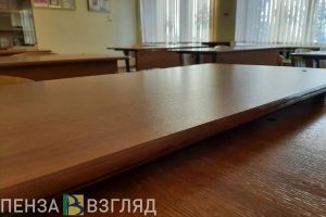 Пензенским школьникам раздадут дневники