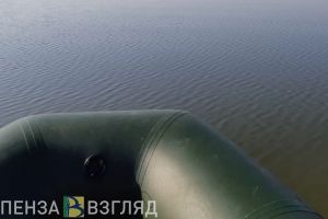 Стало известно, чье тело обнаружено в пруду на территории СНТ «Засека»