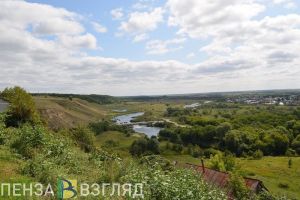 В Пензенской области завершены поиски пропавшего 60-летнего мужчины