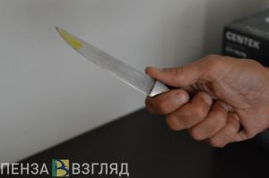 Житель Мокшанского района расчленил тело приятеля, но не успел от него избавиться