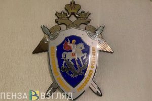 Пензенские следователи изучат отношения в семье 16-летней девочки, числившейся без вести пропавшей