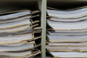 В Пензе возбуждено уголовное дело против руководства «Областного агропромышленного холдинга»