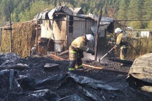 В Никольске Пензенской области сгорели два дома