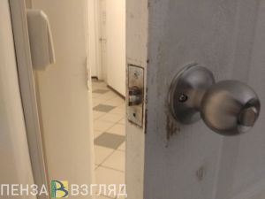 В Пензенской области случайный гость напоил и ограбил семейную пару