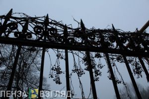 Грабитель избил женщину около кладбища в Пензе и отобрал сумочку