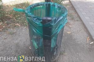 Жительница Мокшана нашла в мусорном баке карту и похитила с нее деньги