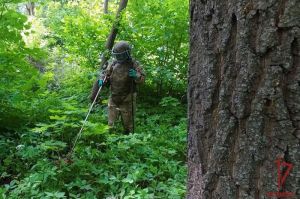 Житель Пензы во время прогулки нашел ящик с патронами