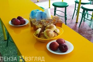 Воронков в Пензе: «Региональный стандарт организации школьного питания разработан»