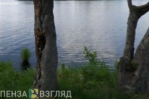 Утонувший под Пензой ребенок не умел плавать