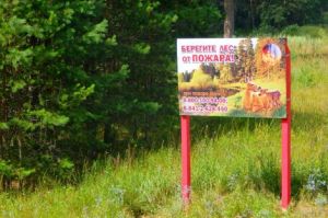 В Пензенской области потушен лесной пожар