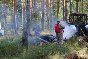 Лесной пожар был ликвидирован в Пензенской области