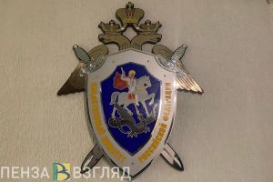 Пропажей троих детей в Пензенской области заинтересовались следователи