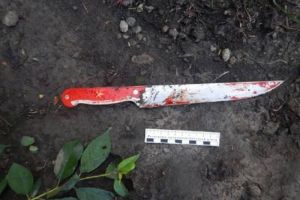 Житель Пензы резал и рубил брата клиньями, ножом и топором